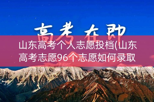 山东高考个人志愿投档(山东高考志愿96个志愿如何录取)