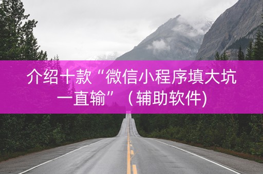 介绍十款“微信小程序填大坑一直输”（辅助软件)