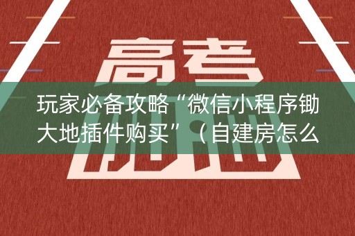 玩家必备攻略“微信小程序锄大地插件购买”（自建房怎么拿好牌)