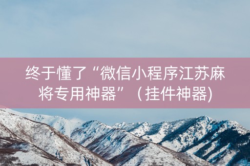 终于懂了“微信小程序江苏麻将专用神器”（挂件神器)