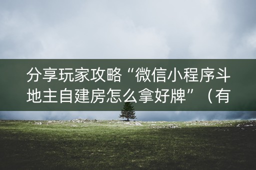 分享玩家攻略“微信小程序斗地主自建房怎么拿好牌”（有什么规律)