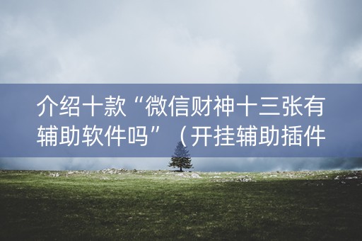 介绍十款“微信财神十三张有辅助软件吗”（开挂辅助插件)
