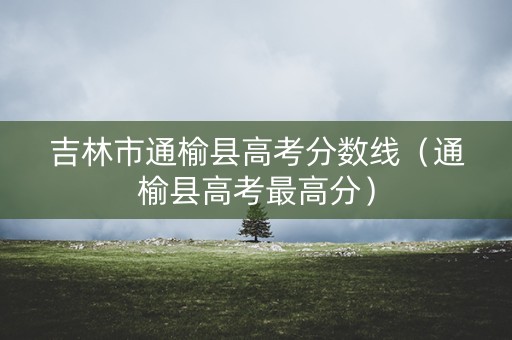 吉林市通榆县高考分数线（通榆县高考最高分）