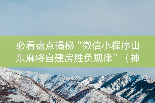 必看盘点揭秘“微信小程序山东麻将自建房胜负规律”（神器通用版)