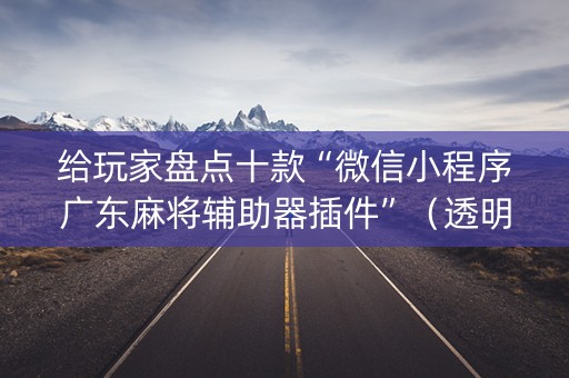 给玩家盘点十款“微信小程序广东麻将辅助器插件”（透明挂辅助器)