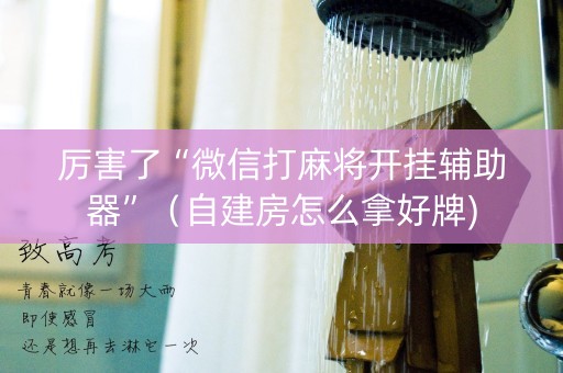 厉害了“微信打麻将开挂辅助器”（自建房怎么拿好牌)