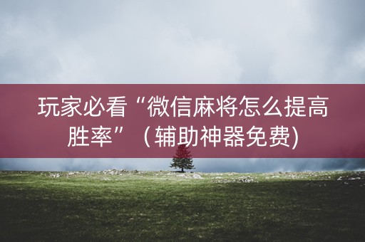 玩家必看“微信麻将怎么提高胜率”（辅助神器免费)