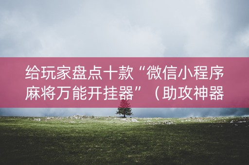给玩家盘点十款“微信小程序麻将万能开挂器”（助攻神器)