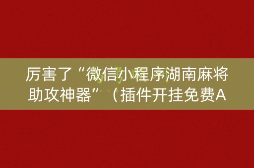 厉害了“微信小程序湖南麻将助攻神器”（插件开挂免费AI)