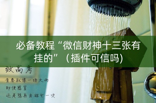 必备教程“微信财神十三张有挂的”（插件可信吗)