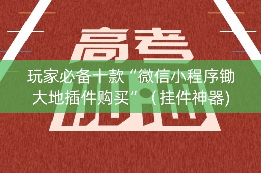 玩家必备十款“微信小程序锄大地插件购买”（挂件神器)