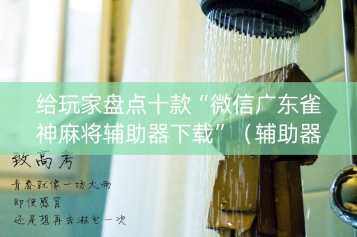 给玩家盘点十款“微信广东雀神麻将辅助器下载”（辅助器插件)
