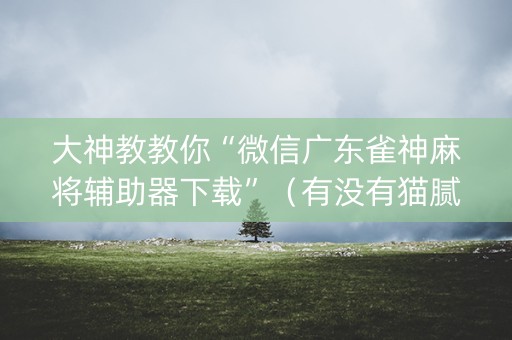 大神教教你“微信广东雀神麻将辅助器下载”（有没有猫腻)