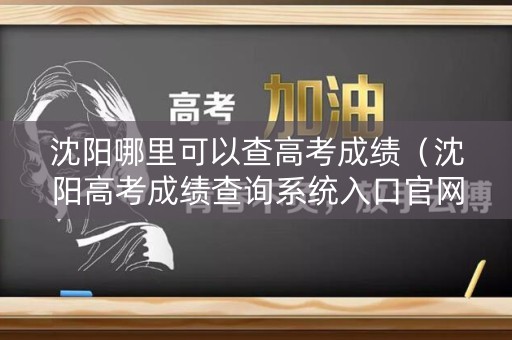 沈阳哪里可以查高考成绩（沈阳高考成绩查询系统入口官网）