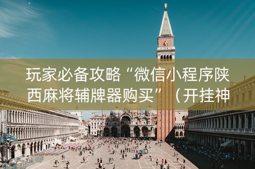 玩家必备攻略“微信小程序陕西麻将辅牌器购买”（开挂神器下载)