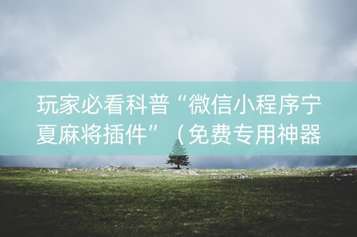 玩家必看科普“微信小程序宁夏麻将插件”（免费专用神器)