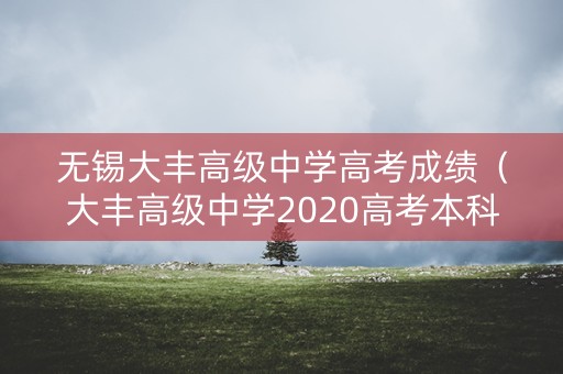 无锡大丰高级中学高考成绩（大丰高级中学2020高考本科率）