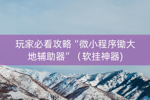 玩家必看攻略“微小程序锄大地辅助器”（软挂神器)