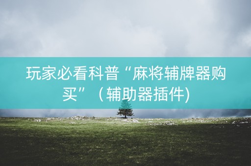 玩家必看科普“麻将辅牌器购买”（辅助器插件)