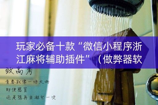玩家必备十款“微信小程序浙江麻将辅助插件”（做弊器软件下载)