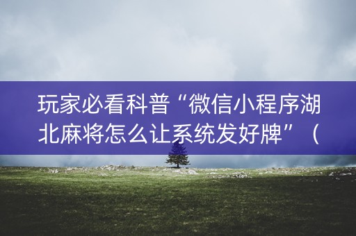 玩家必看科普“微信小程序湖北麻将怎么让系统发好牌”（控牌器)
