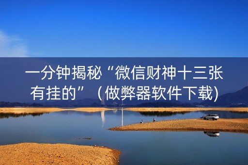 一分钟揭秘“微信财神十三张有挂的”（做弊器软件下载)