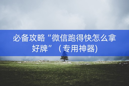 必备攻略“微信跑得快怎么拿好牌”（专用神器)