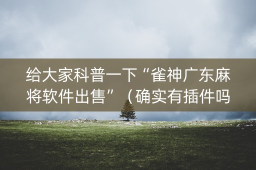 给大家科普一下“雀神广东麻将软件出售”（确实有插件吗)