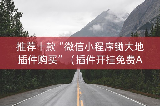 推荐十款“微信小程序锄大地插件购买”（插件开挂免费AI)