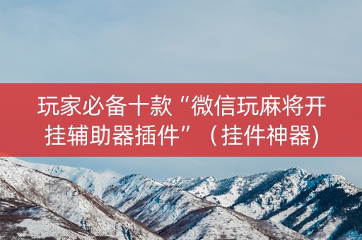 玩家必备十款“微信玩麻将开挂辅助器插件”（挂件神器)
