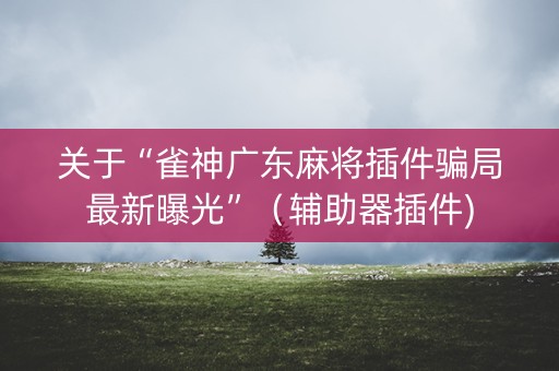 关于“雀神广东麻将插件骗局最新曝光”（辅助器插件)