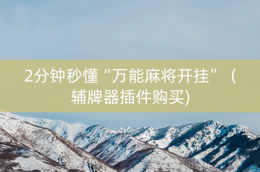 2分钟秒懂“万能麻将开挂”（辅牌器插件购买)