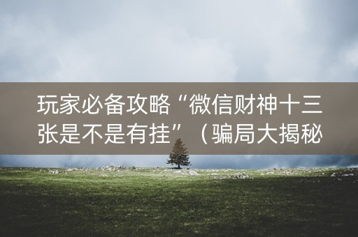 玩家必备攻略“微信财神十三张是不是有挂”（骗局大揭秘)