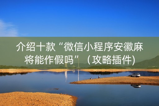 介绍十款“微信小程序安徽麻将能作假吗”（攻略插件)