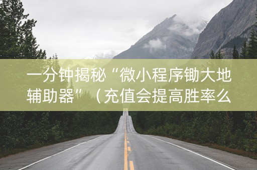 一分钟揭秘“微小程序锄大地辅助器”（充值会提高胜率么)