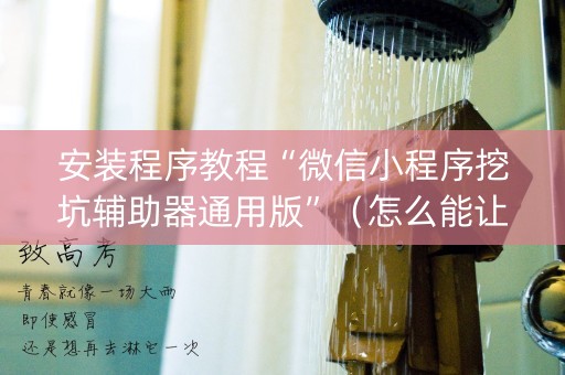 安装程序教程“微信小程序挖坑辅助器通用版”（怎么能让牌好一点)