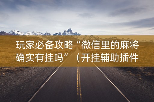 玩家必备攻略“微信里的麻将确实有挂吗”（开挂辅助插件)