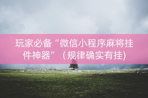 玩家必备“微信小程序麻将挂件神器”（规律确实有挂)