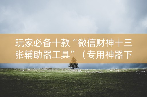 玩家必备十款“微信财神十三张辅助器工具”（专用神器下载)