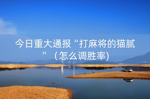 今日重大通报“打麻将的猫腻”（怎么调胜率)