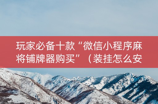 玩家必备十款“微信小程序麻将铺牌器购买”（装挂怎么安装)