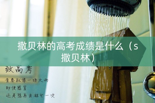 撒贝林的高考成绩是什么（s撒贝林）