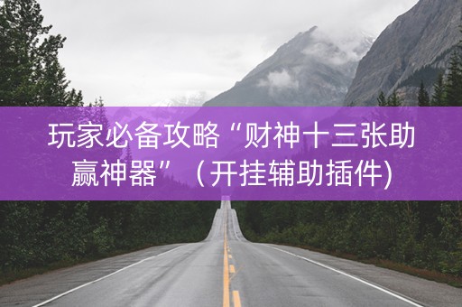 玩家必备攻略“财神十三张助赢神器”（开挂辅助插件)