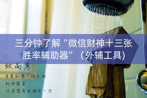 三分钟了解“微信财神十三张胜率辅助器”（外辅工具)