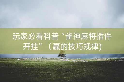 玩家必看科普“雀神麻将插件开挂”（赢的技巧规律)