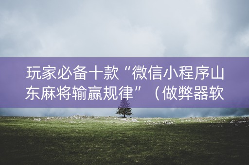 玩家必备十款“微信小程序山东麻将输赢规律”（做弊器软件下载)