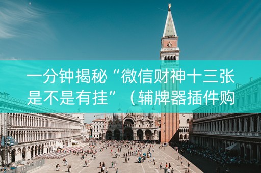 一分钟揭秘“微信财神十三张是不是有挂”（辅牌器插件购买)