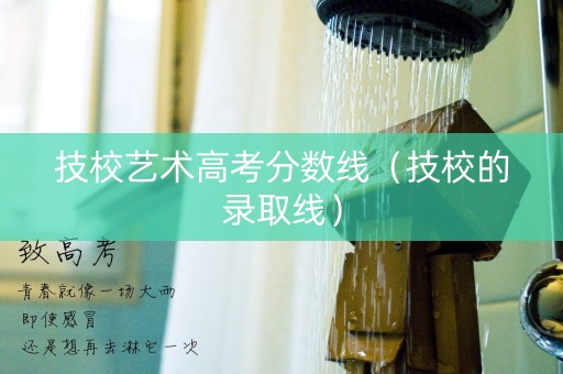 技校艺术高考分数线（技校的录取线）