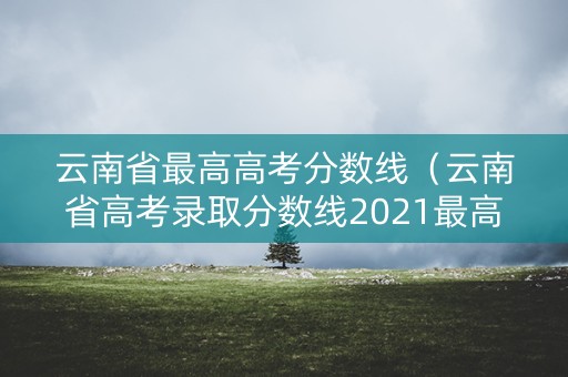 云南省最高高考分数线（云南省高考录取分数线2021最高分）