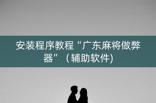 安装程序教程“广东麻将做弊器”（辅助软件)